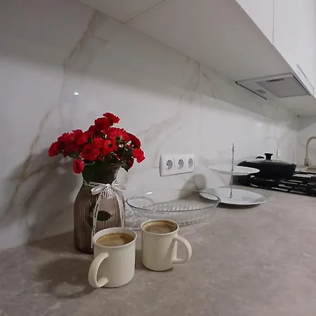 файна 볼로베츠