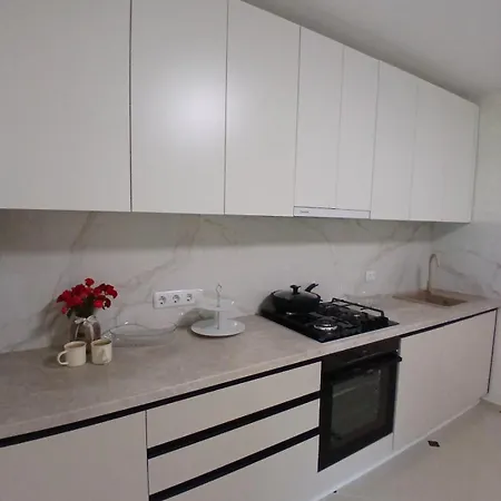 файна Apartment *